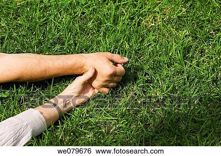 bond, calm, bonding, affection View Large Photo Image Stock Photograph - bond, calm, bonding, affection. Fotosearch