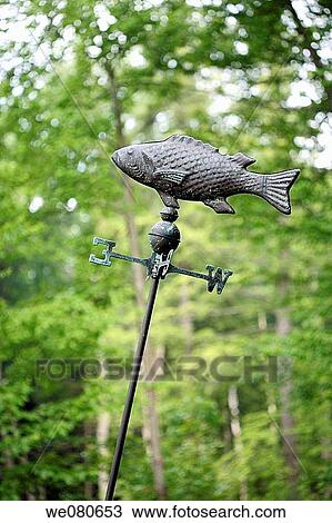 Brass fish weather vane leaning View Large Photo Image Stock Image - Brass fish weather vane leaning. Fotosearch