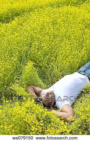 calm, chilling out, Asian View Large Photo Image Stock Image - calm, chilling out, Asian. Fotosearch