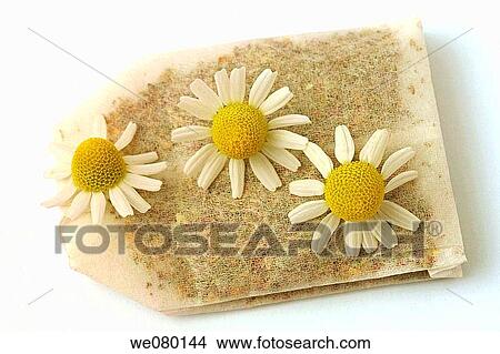 Camomile (Matricaria chamomilla) infusion bag View Large Photo Image Picture - Camomile (Matricaria chamomilla) infusion bag. Fotosearch