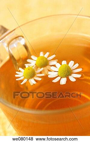Stock Photo - Camomile (Matricaria chamomilla) infusion. Fotosearch