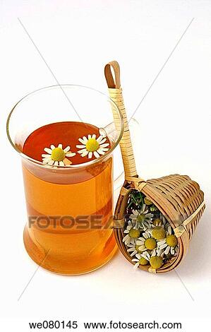Camomile (Matricaria chamomilla) infusion View Large Photo Image Stock Photography - Camomile (Matricaria chamomilla) infusion. Fotosearch