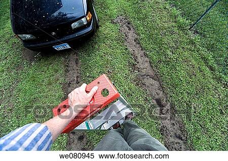 Close-up of a man standing on a ladder near automobile tracks made in a lawn. View Large Photo Image Stock Photography - Close-up of a man standing on a ladder near automobile tracks made in a lawn.. Fotosearch