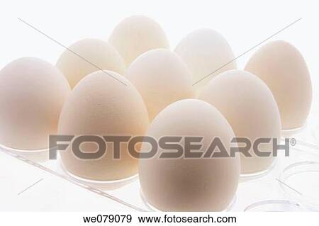Close Up of White Eggs on Plastic Egg Carton View Large Photo Image Stock Photo - Close Up of White Eggs on Plastic Egg Carton. Fotosearch