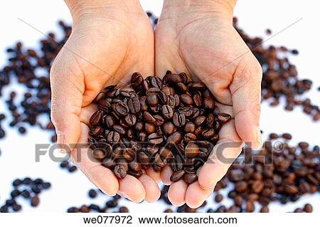 Coffee beans View Large Photo Image Stock Image - Coffee beans. Fotosearch