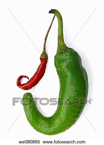 Common Chili Capsicum annuum Red and green chilies are together Pune, Maharashtra, India View Large Photo Image Stock Photography - Common Chili Capsicum annuum Red and green chilies are together Pune, Maharashtra, India. Fotosearch