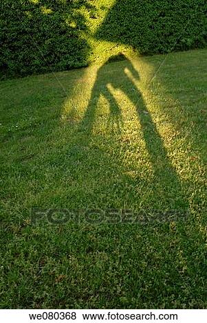 contemporary, fearsome, day, amusing View Large Photo Image Stock Photo - contemporary, fearsome, day, amusing. Fotosearch