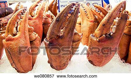 Crabs View Large Photo Image Stock Photo - Crabs. Fotosearch