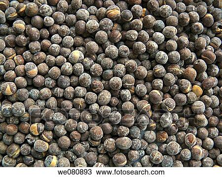 Dry, fried black legume peas, Fried with salt, eating as a light snack in India View Large Photo Image Stock Image - Dry, fried black legume peas, Fried with salt, eating as a light snack in India. Fotosearch