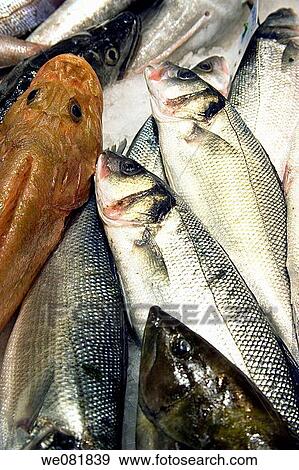 Fish at La Boqueria market, Barcelona, Catalonia, Spain View Large Photo Image Stock Photo - Fish at La Boqueria market, Barcelona, Catalonia, Spain. Fotosearch