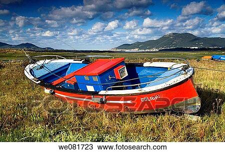 Fishing boat in marsh, Marismas de Santo±a Natural Reserve, Colindres, Cantabria, Spain View Large Photo Image Stock Image - Fishing boat in marsh, Marismas de Santo±a Natural Reserve, Colindres, Cantabria, Spain. Fotosearch
