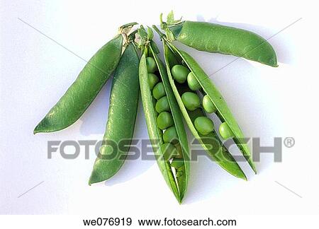 Five Peas on White Background. View Large Photo Image Stock Photo - Five Peas on White Background.. Fotosearch