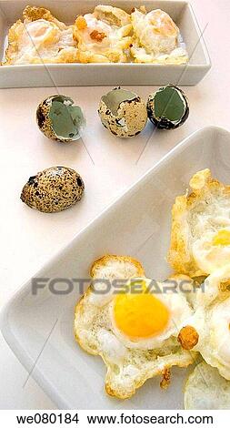 Fried quail eggs View Large Photo Image Picture - Fried quail eggs. Fotosearch