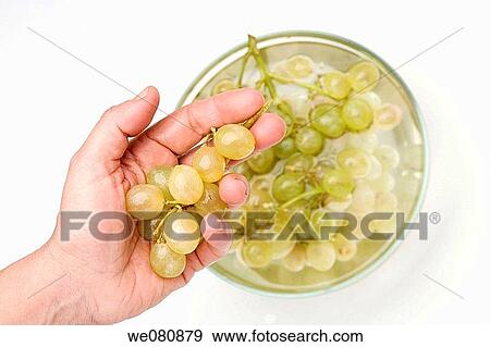 Grapes View Large Photo Image Stock Photo - Grapes. Fotosearch