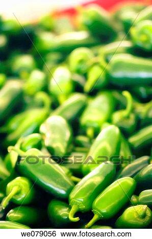 Green Jalapeno Peppers. Capsicum annuum. July 2007, Maryland, USA View Large Photo Image Stock Photograph - Green Jalapeno Peppers. Capsicum annuum. July 2007, Maryland, USA. Fotosearch