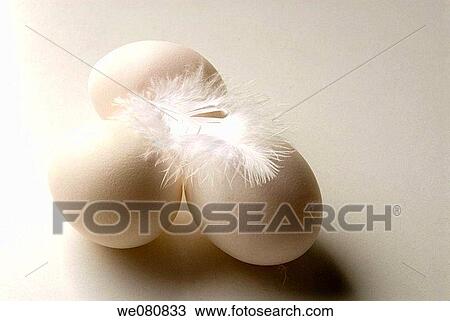 Stock Image - Hen eggs and feather. Fotosearch