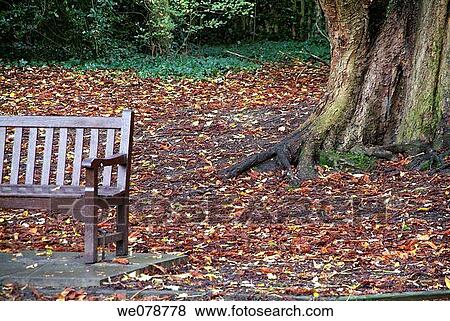 Holland Park, London. England, UK View Large Photo Image Stock Photo - Holland Park, London. England, UK. Fotosearch