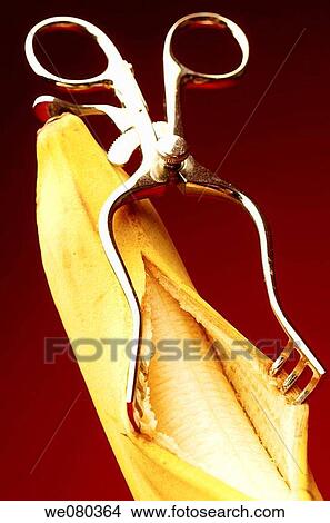 Inside a banana View Large Photo Image Picture - Inside a banana. Fotosearch