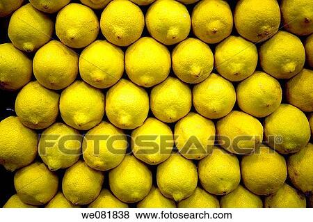 Lemons at La Boqueria market, Barcelona, Catalonia, Spain View Large Photo Image Stock Photo - Lemons at La Boqueria market, Barcelona, Catalonia, Spain. Fotosearch