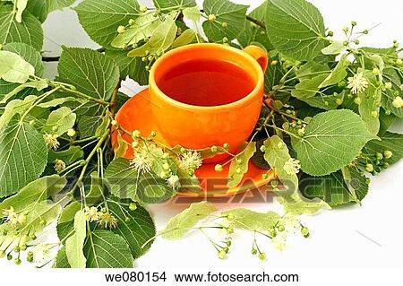 Linden flower tea View Large Photo Image Picture - Linden flower tea. Fotosearch