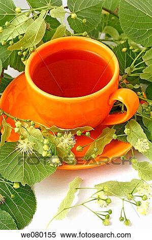 Linden flower tea View Large Photo Image Stock Photography - Linden flower tea. Fotosearch