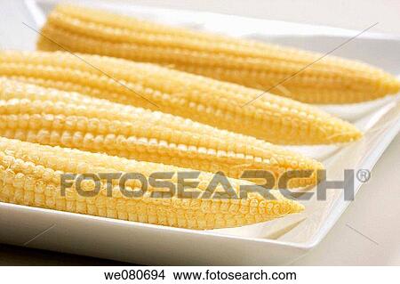Little corncobs View Large Photo Image Picture - Little corncobs. Fotosearch