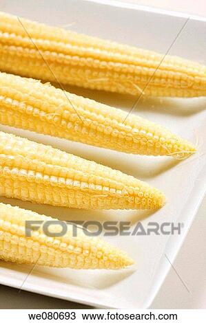 Little corncobs View Large Photo Image Stock Image - Little corncobs. Fotosearch