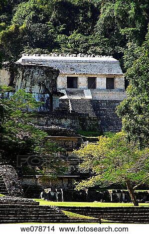 Mayan ruins, Palenque archaeological site. Chiapas, Mexico View Large Photo Image Picture - Mayan ruins, Palenque archaeological site. Chiapas, Mexico. Fotosearch