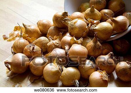 Onions View Large Photo Image Stock Photograph - Onions. Fotosearch