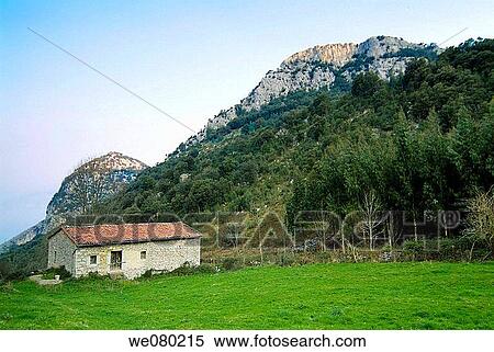 Pastures, Ramales de la Victoria, Cantabria, Spain View Large Photo Image Stock Photography - Pastures, Ramales de la Victoria, Cantabria, Spain. Fotosearch