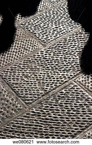 Pavement, Florence. Italy View Large Photo Image Stock Image - Pavement, Florence. Italy. Fotosearch