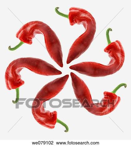 Red Chilli Pepper on White Background View Large Photo Image Stock Image - Red Chilli Pepper on White Background. Fotosearch