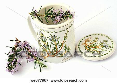 Stock Photo - Rosemary (Rosmarinus officinalis) infusion. Fotosearch