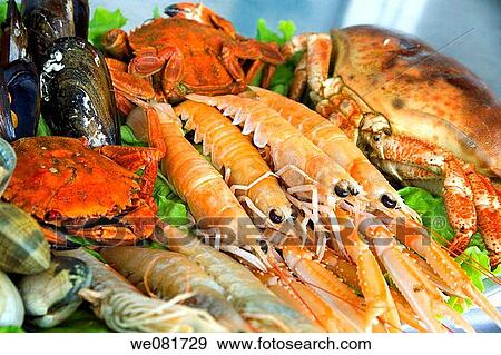Shellfish seafood for sale at Santander old port, Cantabria, Spain View Large Photo Image Stock Photo - Shellfish seafood for sale at Santander old port, Cantabria, Spain. Fotosearch