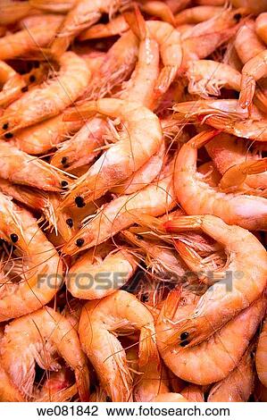 Stock Image - Shrimps at La Boqueria market, Barcelona, Catalonia, Spain. Fotosearch