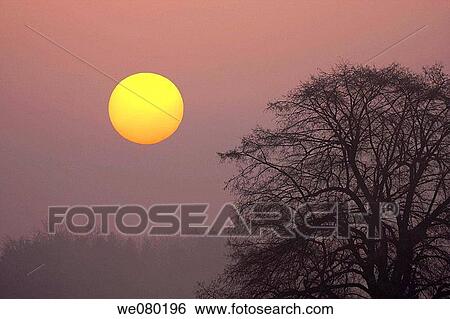 Sunrise in fogy mist on a cold winter morning, Gossau, Zuerich, Switzerland View Large Photo Image Stock Photograph - Sunrise in fogy mist on a cold winter morning, Gossau, Zuerich, Switzerland. Fotosearch