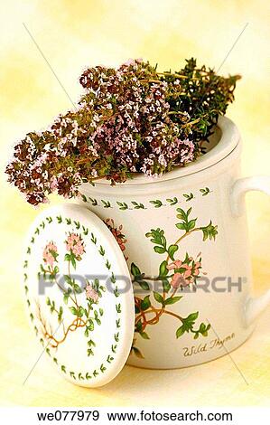 Thyme (Thymus vulgaris) infusion View Large Photo Image Stock Photo - Thyme (Thymus vulgaris) infusion. Fotosearch