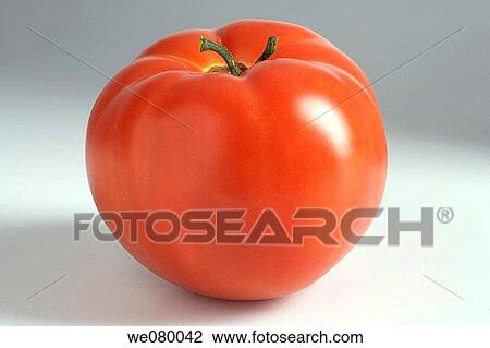 Tomato View Large Photo Image Stock Image - Tomato. Fotosearch