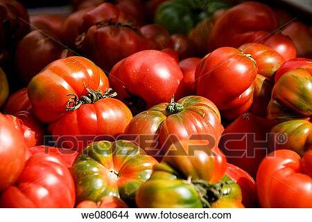 Picture - Tomatoes. Fotosearch