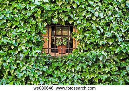 Window View Large Photo Image Stock Photograph - Window. Fotosearch
