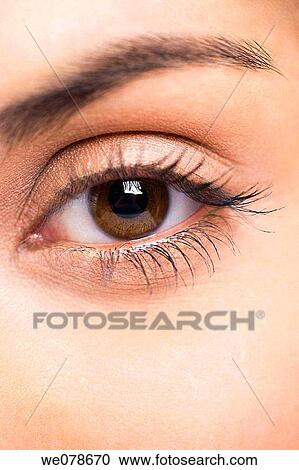 Woman's eye, close up View Large Photo Image Stock Image - Woman's eye, close up. Fotosearch