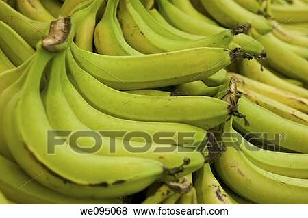 Stock Photo - A pile of fresh Banana. Fotosearch