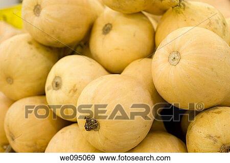 Stock Photo - A pile of fresh, ripe Butternut squash Cucurbita moschata,. Fotosearch