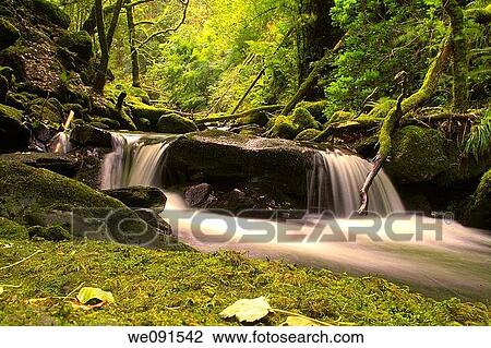 A small waterfall on a fast flowing river running through a forest. View Large Photo Image Stock Image - A small waterfall on a fast flowing river running through a forest.. Fotosearch