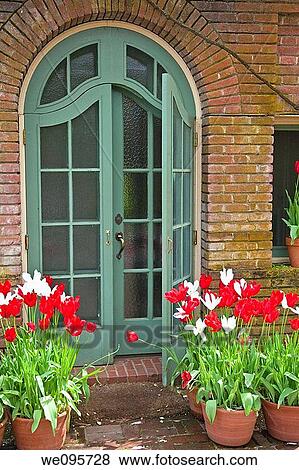 A tulip is a bulbous plant in the genus Tulipa, comprising 109 species with showy flowers, in the family Liliaceae View Large Photo Image Stock Photo - A tulip is a bulbous plant in the genus Tulipa, comprising 109 species with showy flowers, in the family Liliaceae. Fotosearch