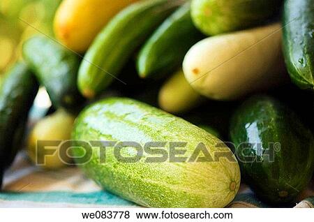 A Variety of Wet Cucumbers Captured on a Kitchen Table. View Large Photo Image Stock Photo - A Variety of Wet Cucumbers Captured on a Kitchen Table.. Fotosearch