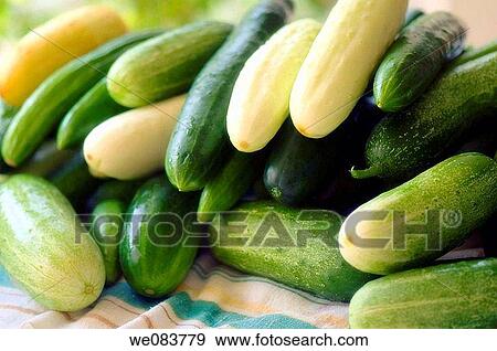 A Variety of Wet Cucumbers Captured on a Kitchen Table. View Large Photo Image Stock Photo - A Variety of Wet Cucumbers Captured on a Kitchen Table.. Fotosearch