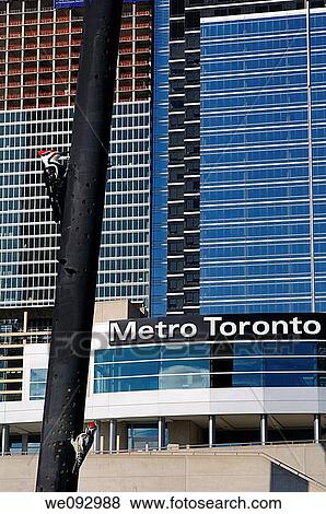 Abstract of Woodpecker Column at Metro Toronto Convention Center with highrise towers View Large Photo Image Stock Photo - Abstract of Woodpecker Column at Metro Toronto Convention Center with highrise towers. Fotosearch