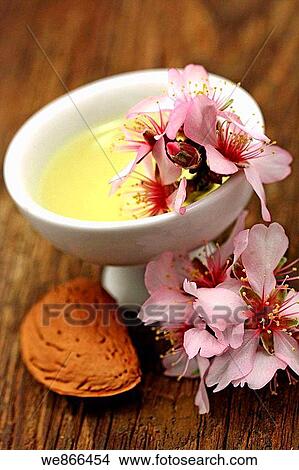 Picture - Almond oil. Fotosearch