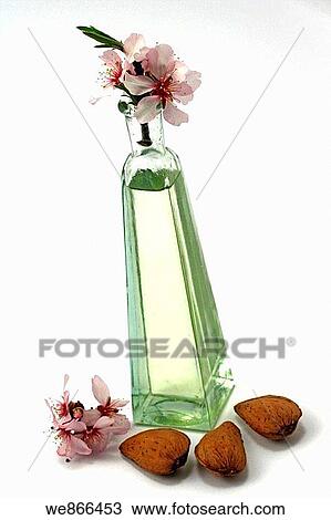 Almond oil View Large Photo Image Stock Image - Almond oil. Fotosearch